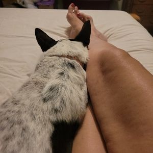 Men's and women's clothing, accessories, etc.